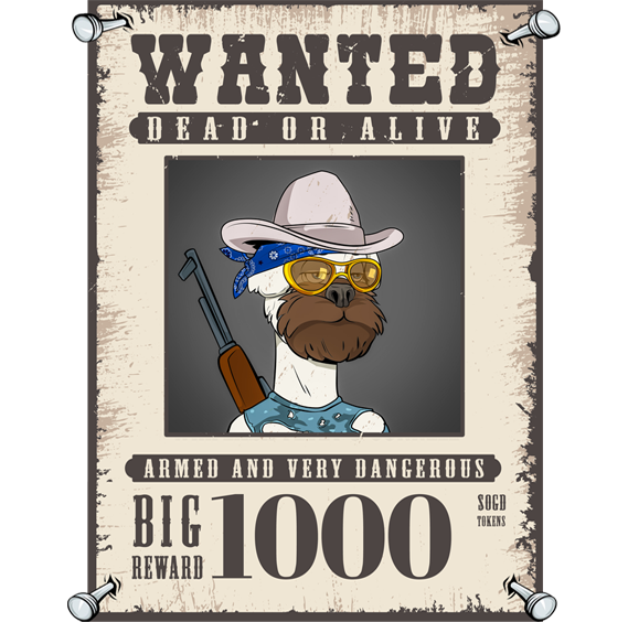 wanted%20for%20website